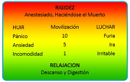 Freeze Relax chart Spanish